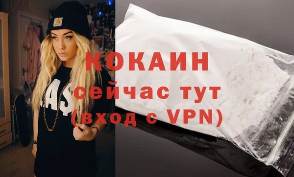 мяу мяу мука Белокуриха