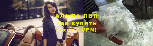 мяу мяу мука Белокуриха