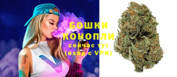 мяу мяу мука Белокуриха