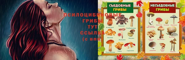мяу мяу мука Белокуриха