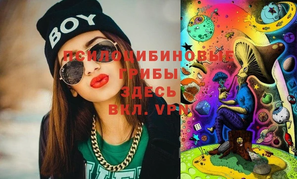 мяу мяу мука Белокуриха