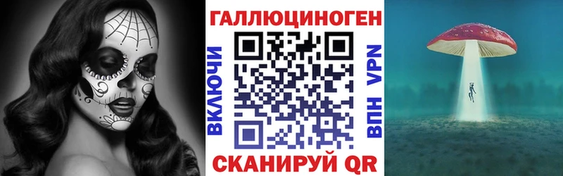 Псилоцибиновые грибы Cubensis  Купить  Олёкминск 